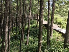 -驼梁风景区