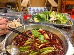 -金鼎雪山牦牛杂火锅(理县总店)