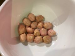 -真定郝家排骨(谈固东街店)