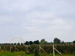 -圣露庄园·露营·烤肉·亲子