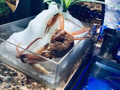 -乔哥铭洋海鲜自助(皇城恒隆广场店)