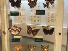 -陕西自然博物馆