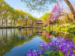 -杭州植物园