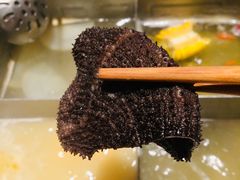 -海底捞火锅(大学路新象城店)