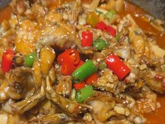 -蛙喔牛蛙(百联南方店)