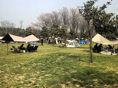 -洨河生态公园