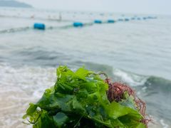 -北戴河东海水浴场