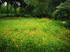 -福建鲤鱼洲酒店