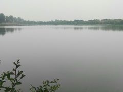 -洨河生态公园