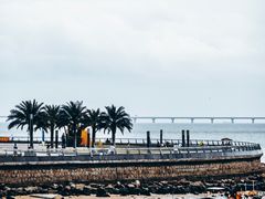 -野狸岛