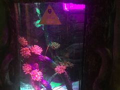 -沈阳海洋探索中心