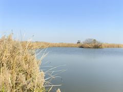 -盐城丹顶鹤湿地生态旅游区