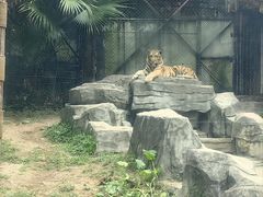 -深圳野生动物园