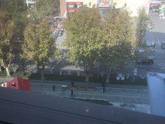 -老板恋上鱼(印象城店)