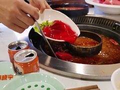 鲜鸭血-晓宇重庆火锅(赛格国际购物中心店)