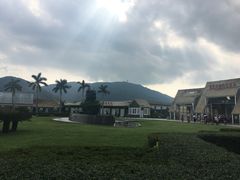 -亚龙湾国际玫瑰谷
