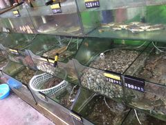 水产区-四海鲜渔家菜(黄金海岸店)