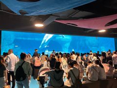 -海合安武汉极地海洋公园