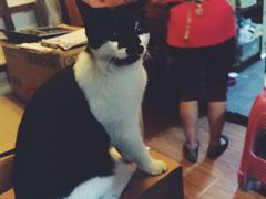 iphone_upload_pic-樱の花亭日本料理店