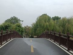 -洋湖国家湿地公园