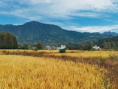 -塔川景区