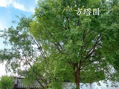 -常熟方塔园