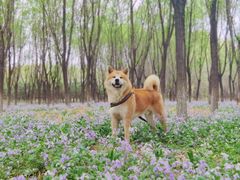 -东郊湿地公园