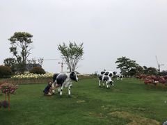 -荷兰花海