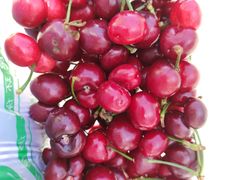 樱桃-北京清河镇农副产品交易市场中心