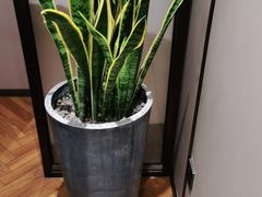-宴昆山·私房菜(春晖店)