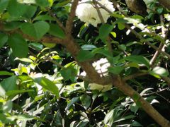 -杭州城北体育公园