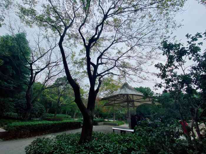 泗塘篮球公园-"在这地区这个公园很旺的,有打篮球的缘故吧.