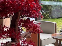 -泰康之家·锦绣府