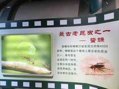 -上海昆虫博物馆
