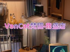 -梵猫·新养生(湛江鼎盛店)