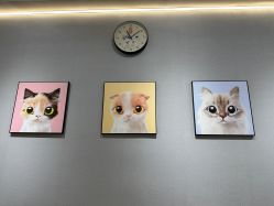 -洗脸猫·洗脸吧
