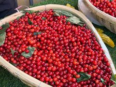 -南坛综合农贸市场