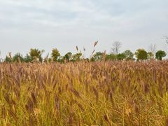 -汉长安城未央宫国家考古遗址公园