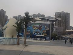 -西安曲江海洋极地公园
