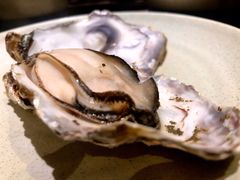 -千岛蚝高压锅生蚝·人参火锅(白云万达店)