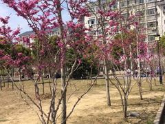 -江南大学(蠡湖校区)