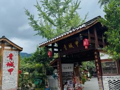 -青城甲(青城山店)