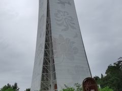 -东平国家森林公园