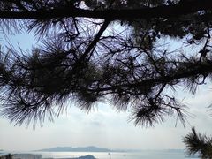 -信号山公园