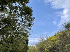 -黄椅山火山森林公园