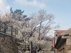 -崂山九水游览区