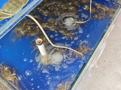 -阳澄湖大闸蟹·琼灵阁牌品牌连锁(吴中总店)