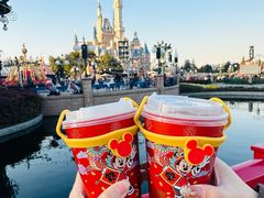 -上海迪士尼度假区