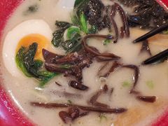-吾妻拉面•和风食堂(群光广场店)