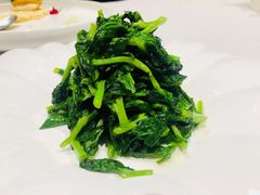 鲜鸡油爆炒豌豆尖-三利音·浦之舟(滨江大道店)